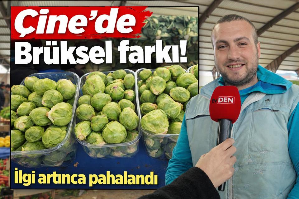 Çine’de Brüksel farkı