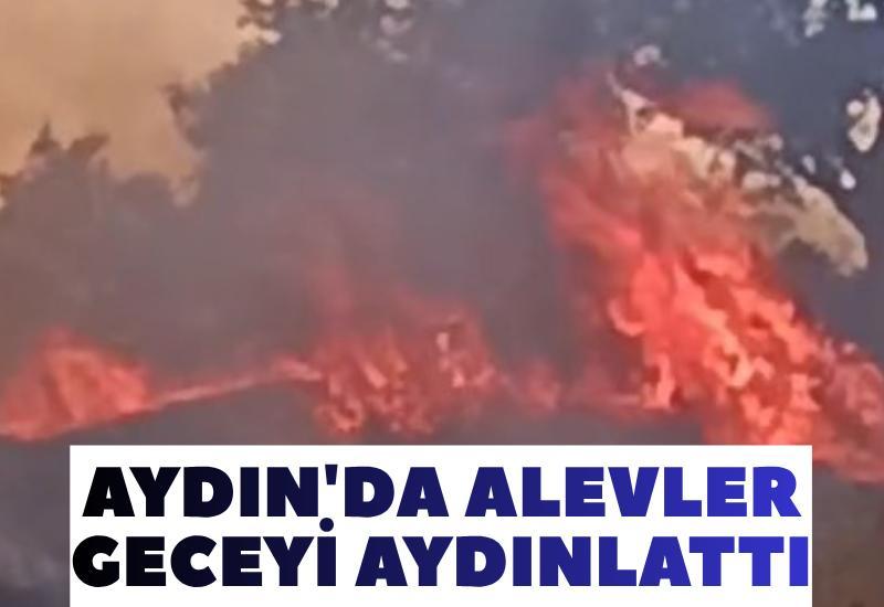 Aydın'da alevler geceyi aydınlattı