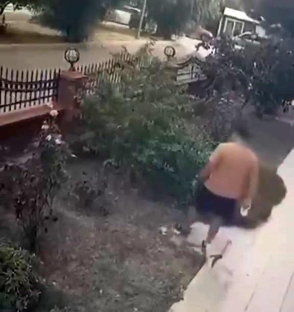 Yavrulu kediye tekme atan saldırgan yakalandı
