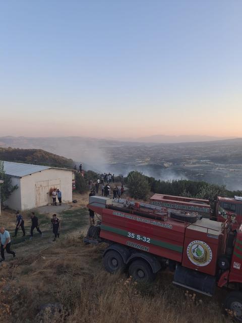 Manisa'da orman yangını