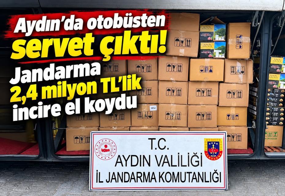 Aydın’da otobüsten servet çıktı! Jandarma 2,4 milyon TL’lik incire el koydu