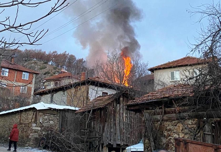 Korkutan yangın: 1 büyükbaş hayvan telef oldu
