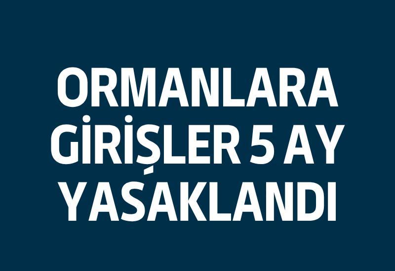 Ormanlara girişler 5 ay yasaklandı