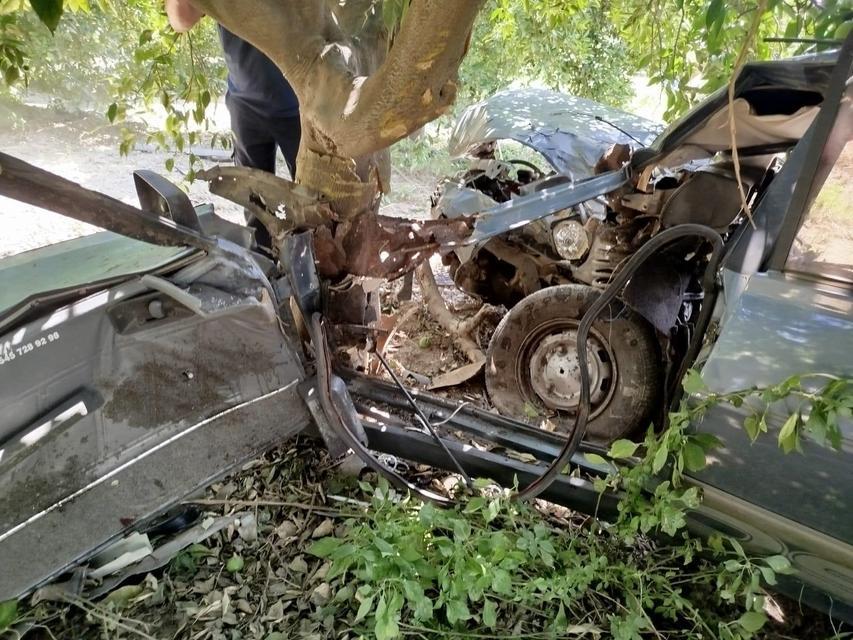 YOLDAN ÇIKAN OTOMOBİL AĞACA ÇARPTI: 1 YARALI