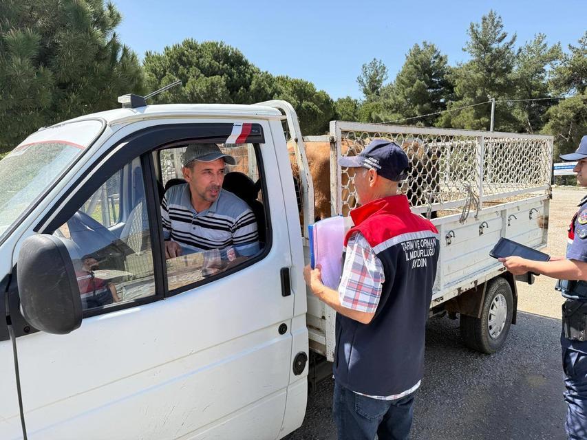 KOÇARLI'DA CANLI HAYVAN NAKİL ARAÇLARI DENETLENDİ