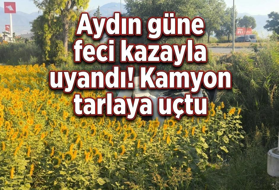 Aydın güne feci kazayla uyandı! Kamyon tarlaya uçtu