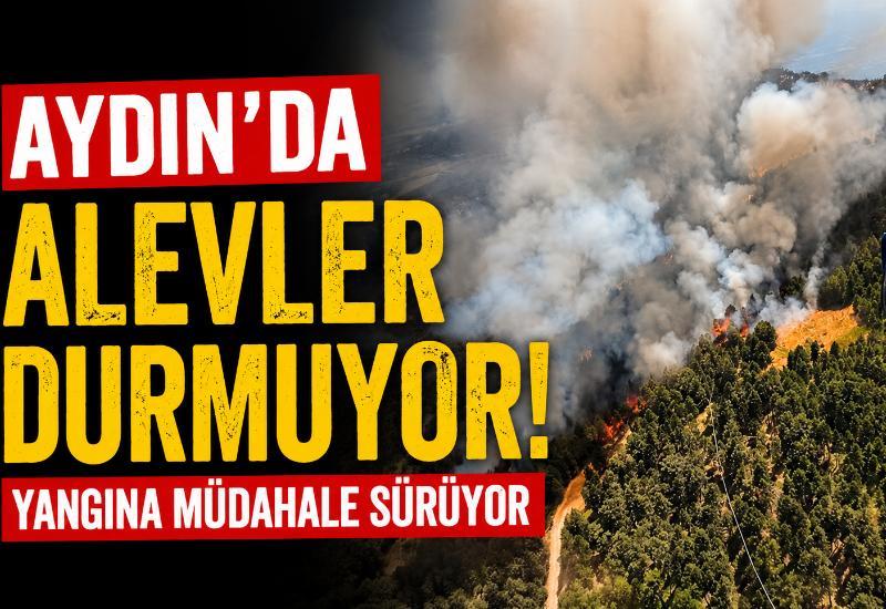 Aydın’da alevler durmuyor! Yangına müdahale sürüyor
