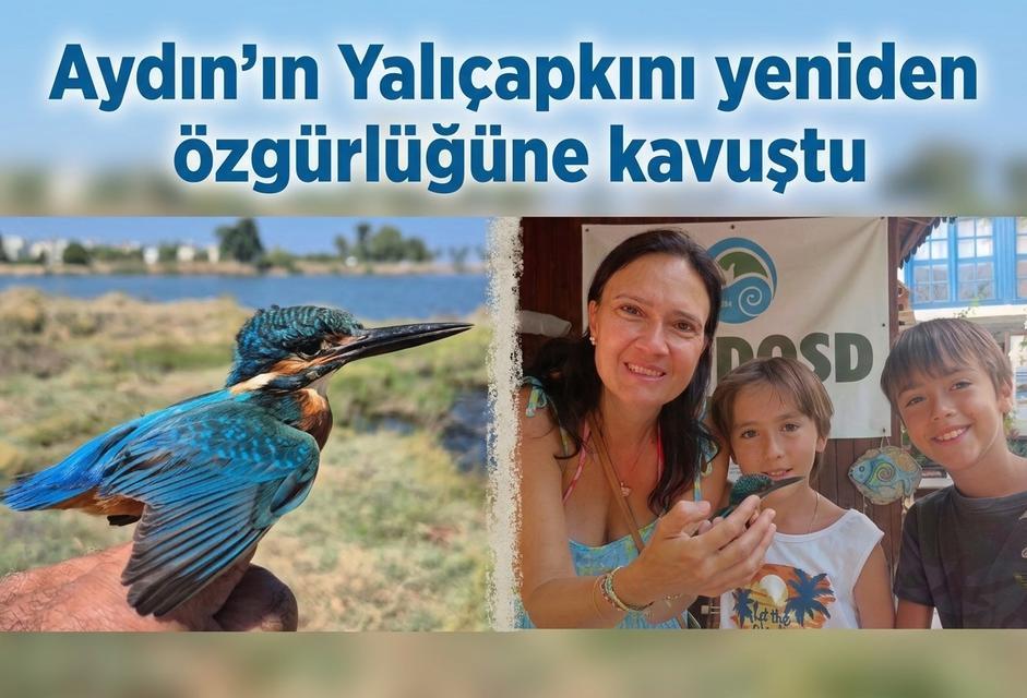 Aydın’ın Yalıçapkını yeniden özgürlüğüne kavuştu