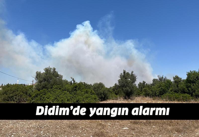 Didim’de yangın alarmı