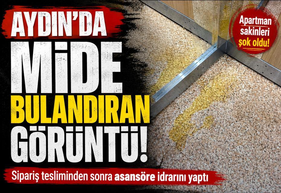 Aydın'da mide bulandıran görüntü