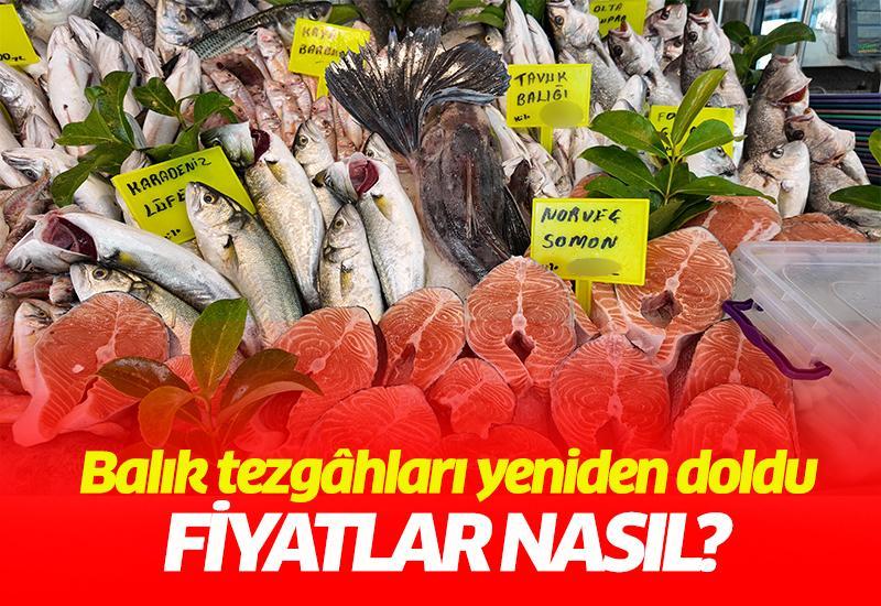 Balık tezgâhları yeniden doldu: Fiyatlar nasıl?