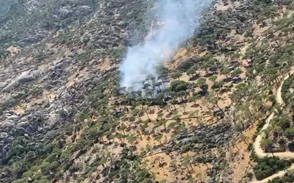 Söke'nin kırsal mahallesinde yangın çıktı