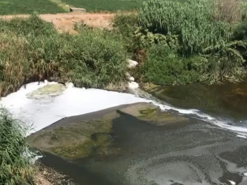 Söke Ovası'nda büyük tehlike