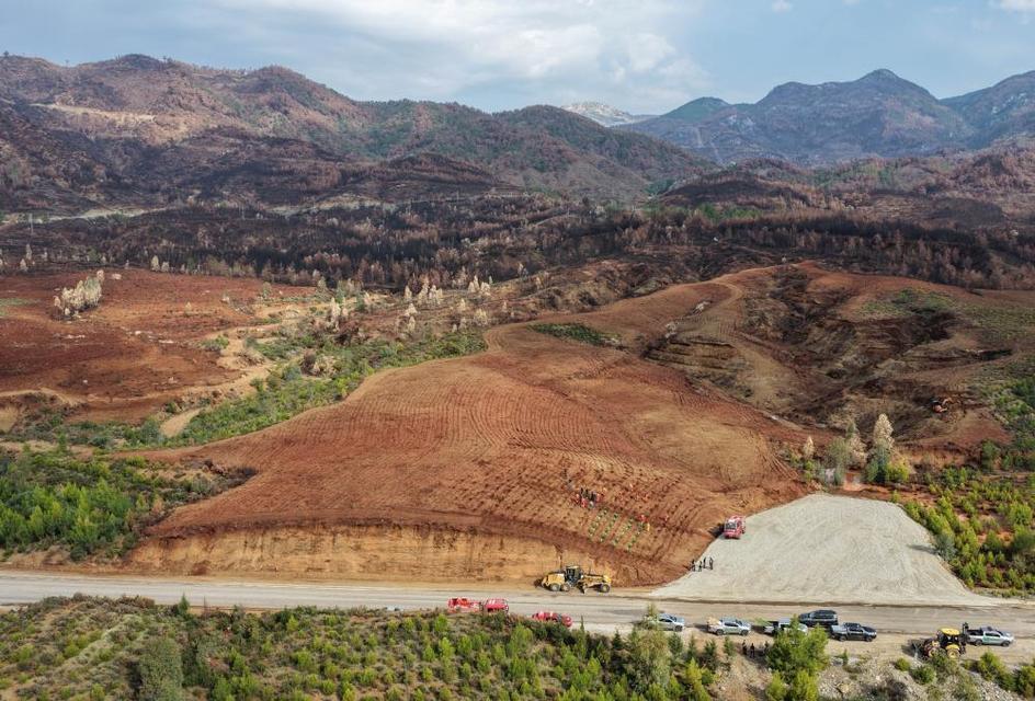 Aydın’da 17 lokasyonda fidan dikilecek