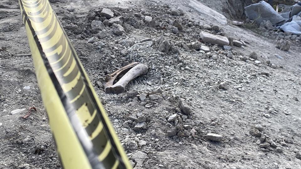 Belediyenin kazı çalışması sırasında insan kemikleri bulundu