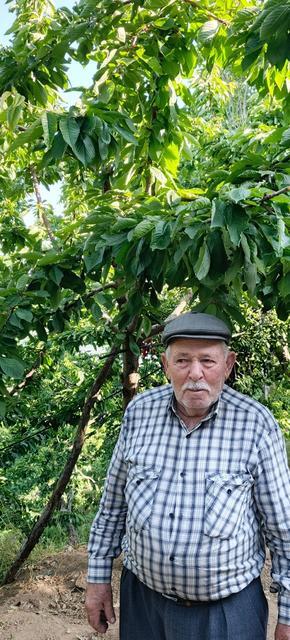 EGE BU YIL MEYVEYE HASRET NİSAN AYINDA GERÇEKLEŞEN SOĞUKLAR TÜM ÇİÇEKLERİ DÖKTÜ, MEYVEDE 'YOK YILI' YAŞANIYOR