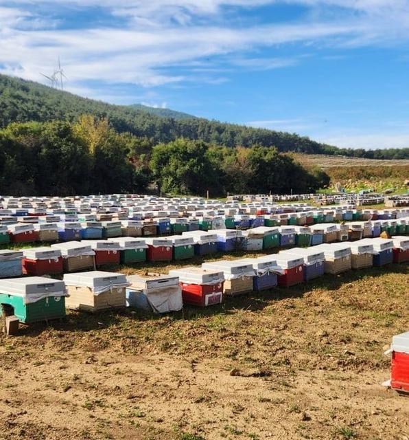 Söke'de arılı kovan tespiti yapıldı