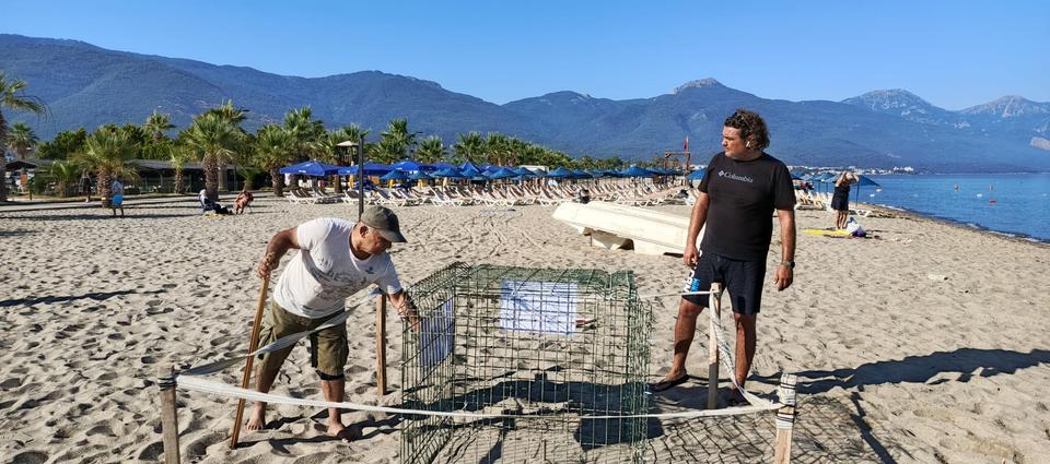 Kuşadası'nda deniz kaplumbağası sürprizi