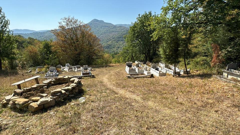 Mezarlıkta ayı paniği: Önce tahtaları kırdı sonra kaçtı