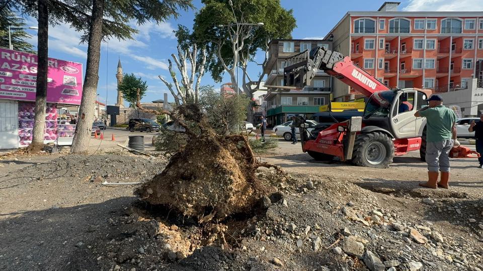 Fırtınada kökünden sökülen ağaç otomobilin üzerine devrildi