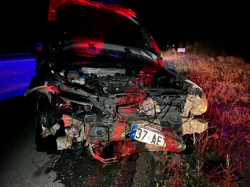 KASTAMONU'DA OTOMOBİL DOMUZ SÜRÜSÜNE ÇARPTI: 2 YARALI