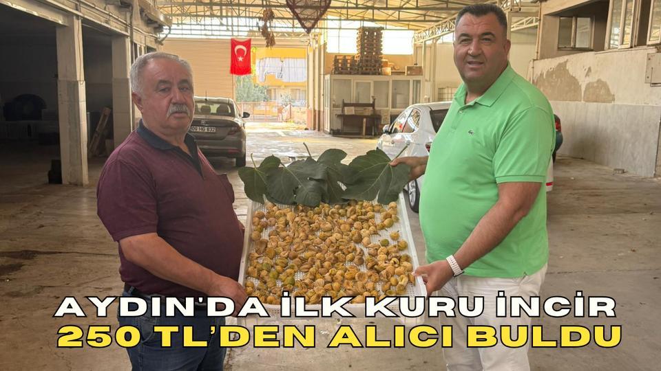 Aydın'da ilk kuru incir, 250 TL’den alıcı buldu