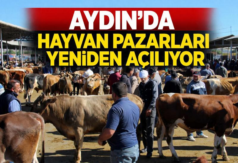 Aydın’da hayvan pazarları yeniden açılıyor