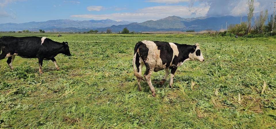 TARIM BAKANLIĞI'NIN DESTEKLEDİĞİ MERA KULLANIMA AÇILDI