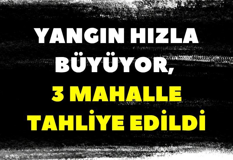 Yangın hızla büyüyor, 3 mahalle tahliye edildi