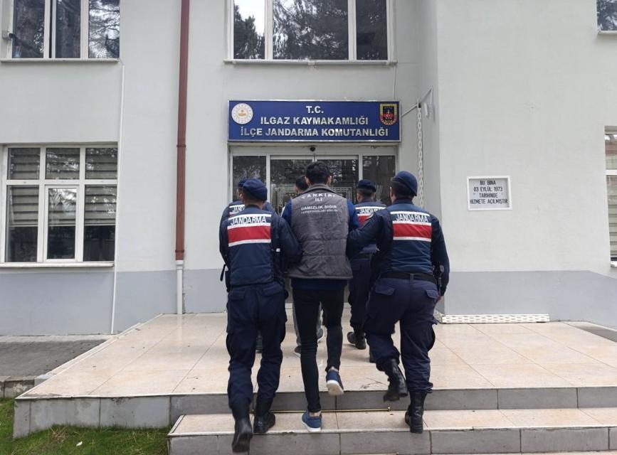 Büyükbaş hayvan çalan 2 kişi tutuklandı