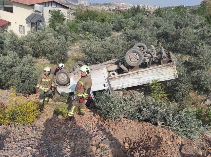 Zeytinliğe uçan kamyonetin sürücüsü yaralandı