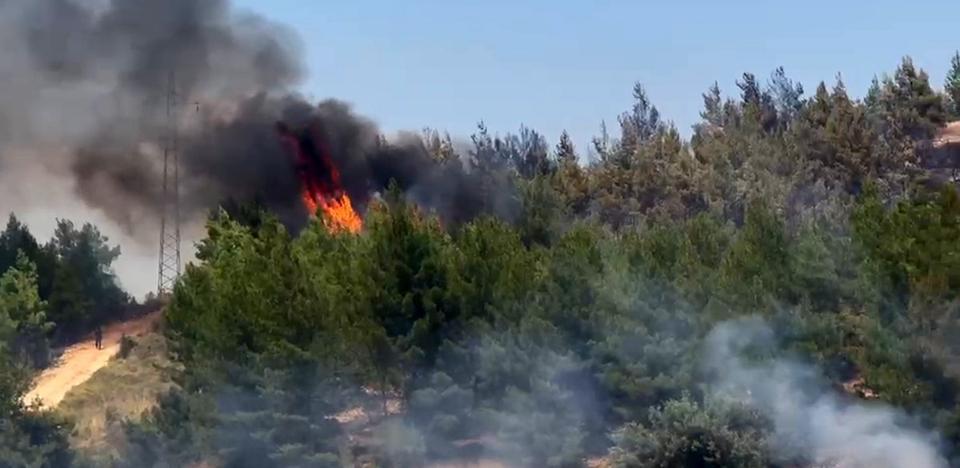 Muğla’da zirai alanda başlayan yangın ormana sıçradı