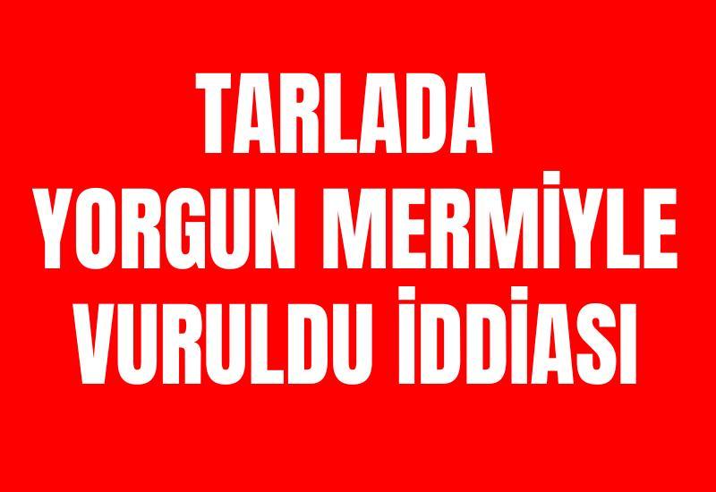 Tarlada yorgun mermiyle vuruldu iddiası