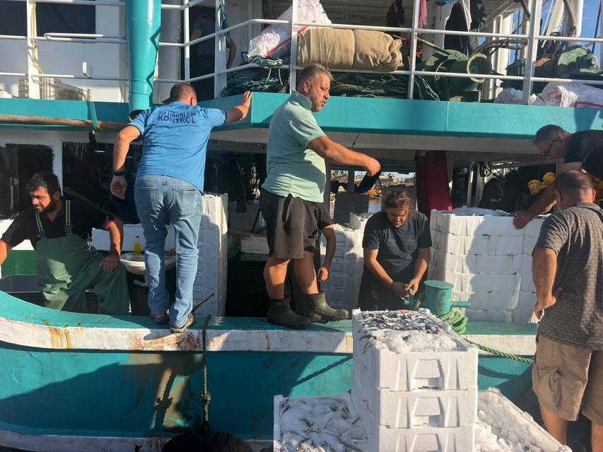 Didim’de hamsi avına kota takibi: Balıkçılar denetleniyor