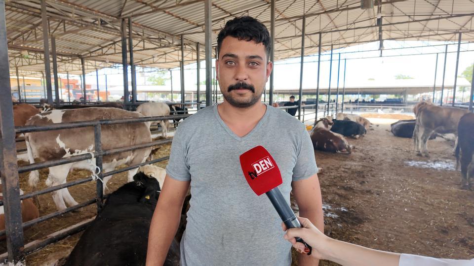 Aydın'da kurbanlıklar pazarda yerini aldı peki fiyatlar nasıl?