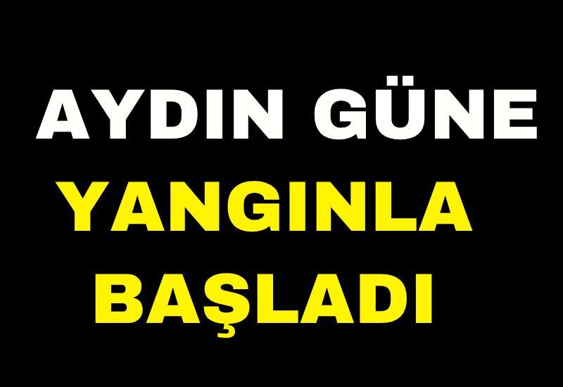Aydın güne yangınla başladı