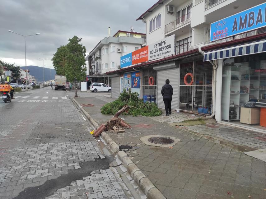 FETHİYE SERALAR HASAR GÖRDÜ, AĞAÇLAR DEVRİLDİ ÖLÜDENİZ'DE DALGA BOYU 3 METREYİ AŞTI