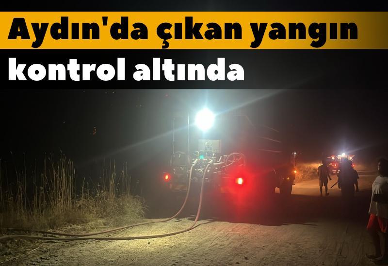 Aydın'da çıkan yangın kontrol altında