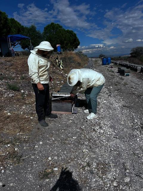 ARICILIĞIN GELİŞTİRİLMESİ İÇİN SAHA ÇALIŞMALARI SÜRÜYOR
