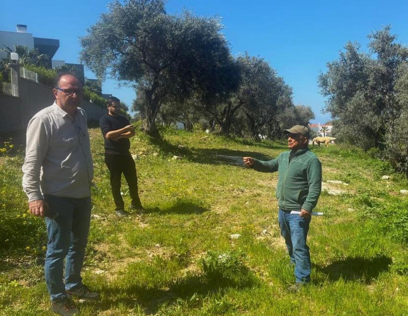 Endemik Tülüşah için inceleme yaptılar