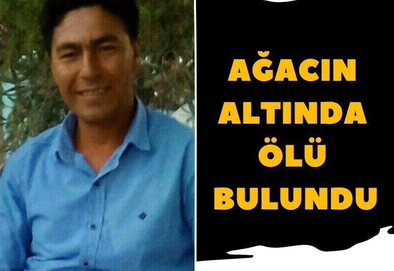 Ağacın altında ölü bulundu