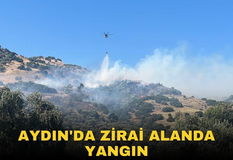 Aydın'da zirai alanda yangın