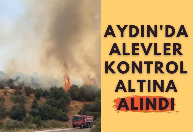 Aydın'da alevler kontrol altına alındı