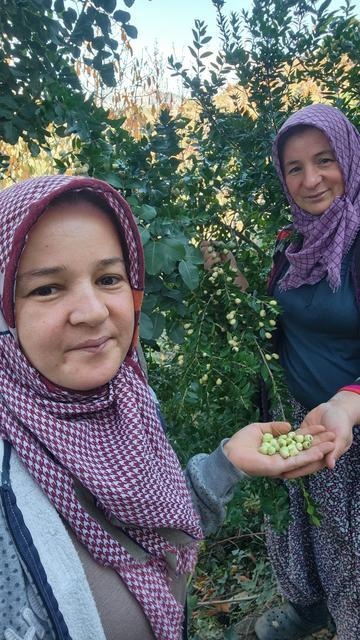 Fenomen öyle olunmaz, böyle olunur!