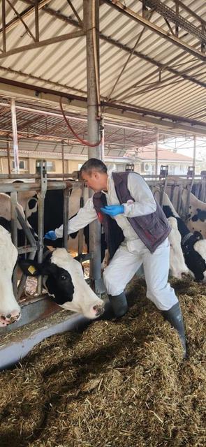 Söke TAYEM’de tüberküloz ve brucella taraması yapıldı
