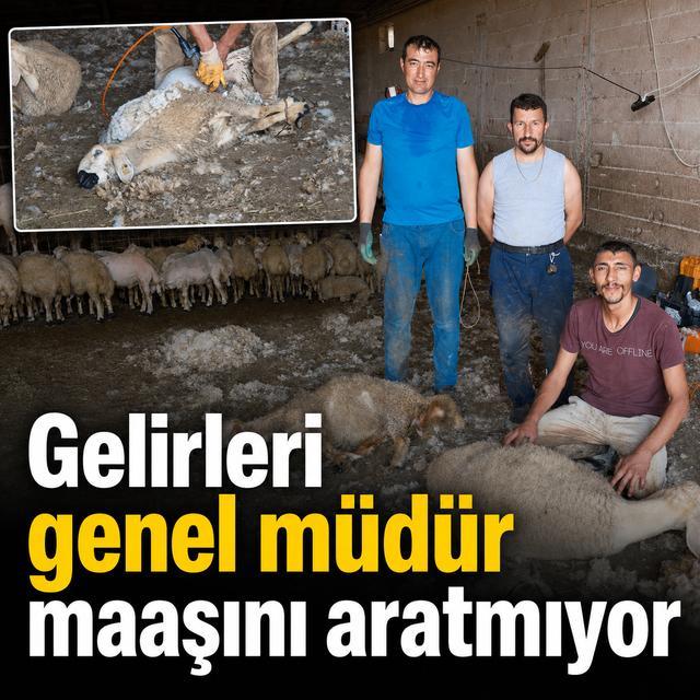 Gelirleri genel müdür maaşını aratmıyor