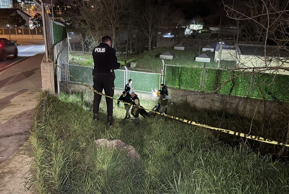 Bir kişi yol kenarında ölü bulundu