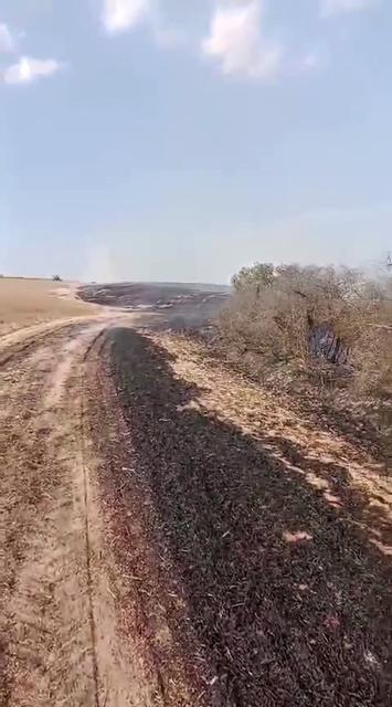 Çıkan yangında 8 dönüm arazi kül oldu