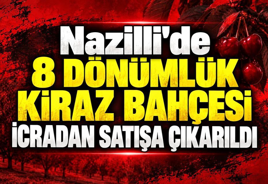 Nazilli'de 8 dönümlük kiraz bahçesi icradan satışa çıkarıldı