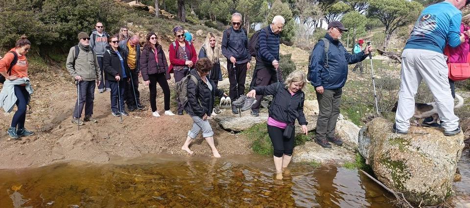 �������������������������������